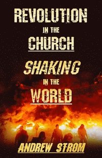 bokomslag Revolution in the Church - Shaking in the World