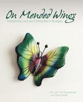 On Mended Wings: Transforming Lives and Communities in Nicaragua 1