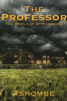 Professor