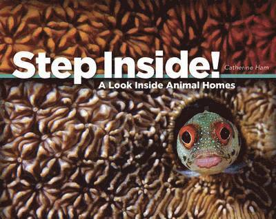 STEP INSIDE
