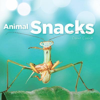 ANIMAL SNACKS