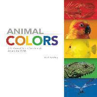 bokomslag Animal Colors