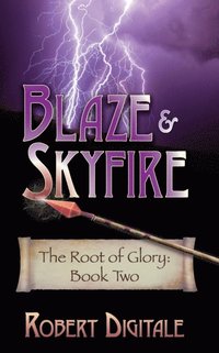 bokomslag Blaze & Skyfire