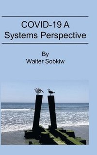 bokomslag COVID-19 A Systems Perspective