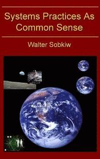 bokomslag Systems Practices as Common Sense