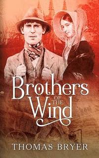 bokomslag Brothers Of The Wind
