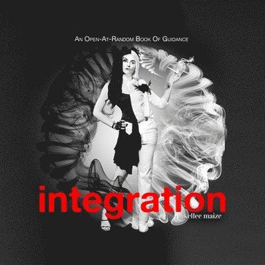 bokomslag Integration