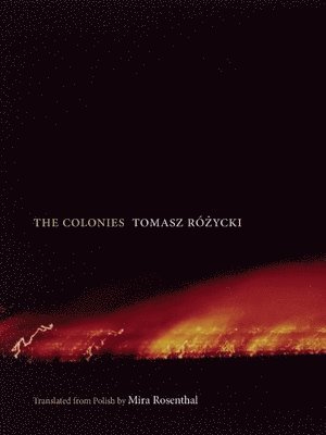 Tomasz Rózycki - Colonies, Häftad