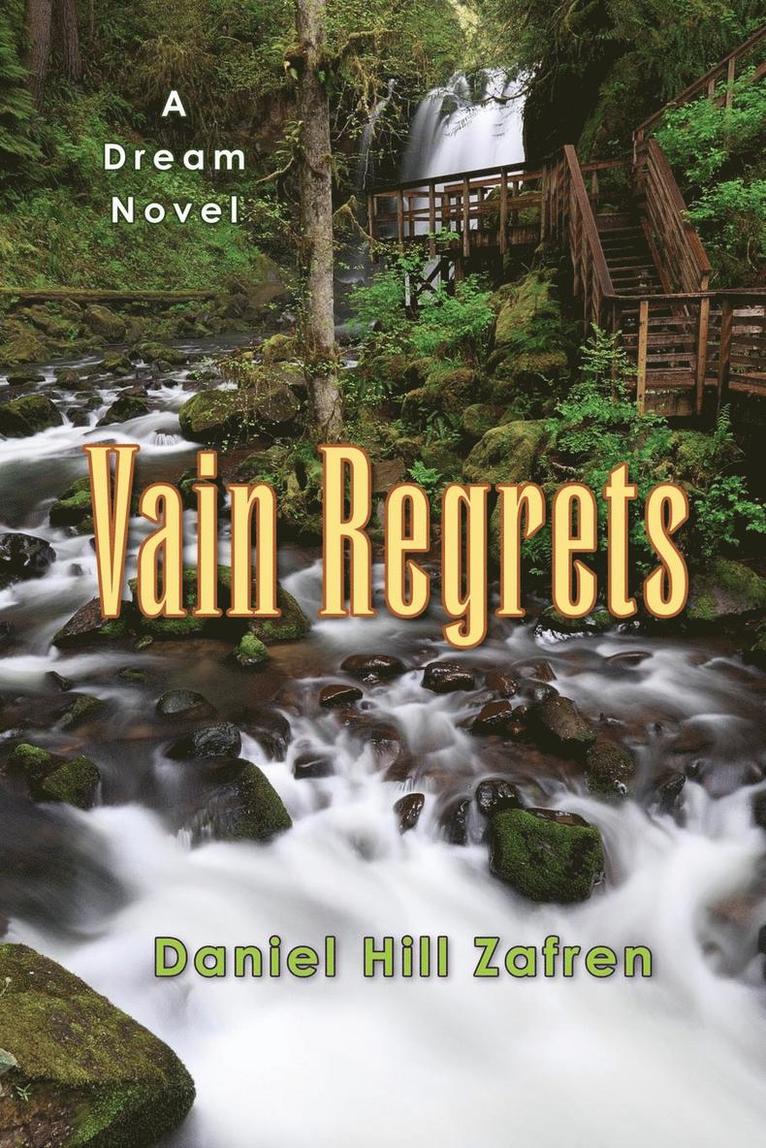 Daniel Hill Zafren - Vain Regrets, Häftad