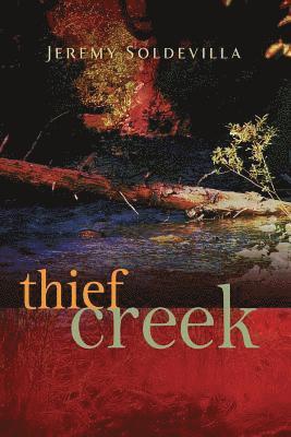 bokomslag Thief Creek