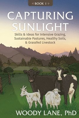 Capturing Sunlight, Book 1 1