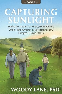 Capturing Sunlight, Book 2 1