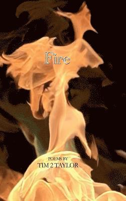 bokomslag Fire