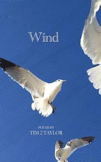 Tim 2. Taylor, Tim Taylor - Wind, Inbunden