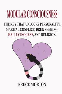bokomslag Modular Consciousness: The Key That Unlocks Personality, Maritial Conflict, Drug Seeking, Spirituality, and Religion