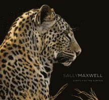 Todd Wilkinson - Sally Maxwell, Inbunden