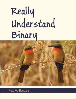 bokomslag Really Understand Binary