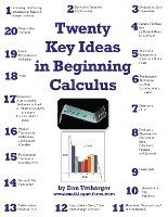 Twenty Key Ideas in Beginning Calculus 1