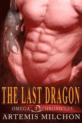 bokomslag The Last Dragon