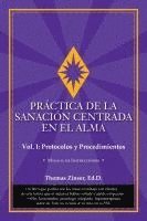 bokomslag PRÁCTICA DE LA SANACIÓN CENTRADA EN EL ALMA&#8232;&#8232;&#8232;Vol. I: Protocolos y Procedimientos