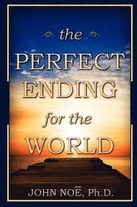 bokomslag Perfect Ending for the World