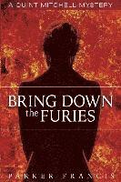 Bring Down the Furies 1