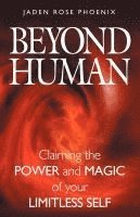 bokomslag Beyond Human