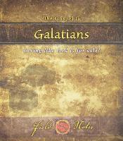 bokomslag Gospel In Galatians