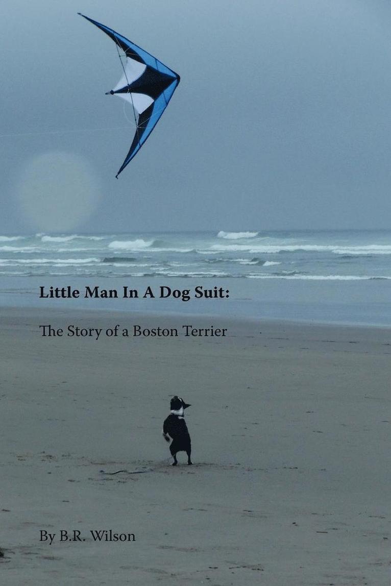 B R Wilson, Barry Robert Wilson - Little Man in a Dog Suit, Häftad. Tillgänglighet: Lägg i varukorg