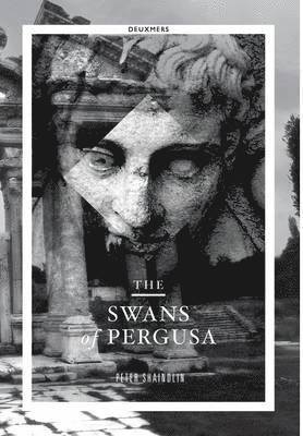 bokomslag The Swans of Pergusa