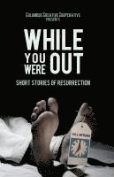 bokomslag While You Were Out