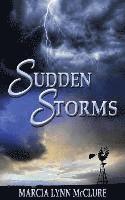 bokomslag Sudden Storms