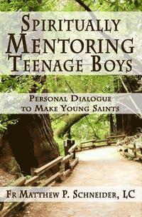 bokomslag Spiritually Mentoring Teenage Boys: Personal Dialogue to Make Young Saints