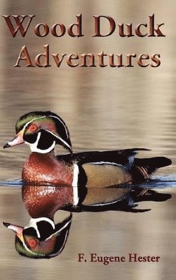Wood Duck Adventures 1