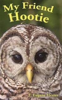 bokomslag My Friend Hootie