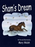 Mary Walsh - Sham's Dream, Inbunden