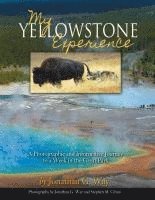 bokomslag My Yellowstone Experience