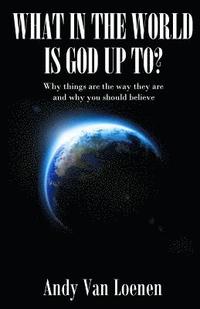 bokomslag What in the World is God Up To?: Why things are the way they are and why you should believe