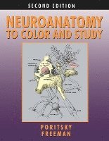 bokomslag Neuroanatomy to Color and Study