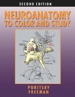 Ray Poritsky, Barbara K. Freeman, Barbara K Freeman - Neuroanatomy to Color and Study, Häftad
