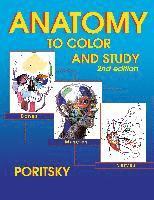 bokomslag Anatomy to Color and Study 2nd Edition