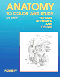 bokomslag Anatomy to Color and Study Thorax Third Edition