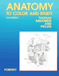 Anatomy to Color and Study Thorax Third Edition 1