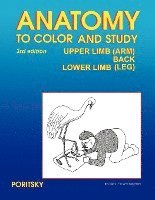 bokomslag Anatomy to Color and Study Upper and Lower Limbs 3rd Edition