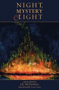 bokomslag Night, Mystery & Light