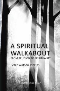 bokomslag A Spiritual Walkabout