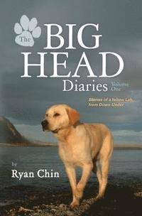 bokomslag The Big Head Diaries, Volume 1