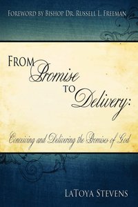 bokomslag From Promise to Delivery