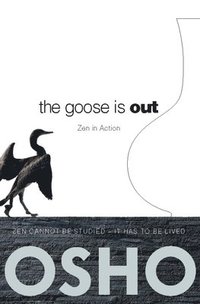 bokomslag Goose Is Out