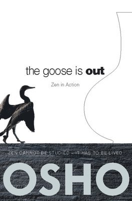bokomslag Goose Is Out
